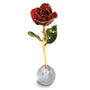 Lacquer Dipped Gold Trim Knob Stand Red Spring Rose Set