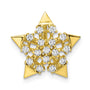 Sterling Silver CZ Gold-tone Star Slide