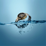 Tissot Seastar 1000 38mm T120.217.22.061.00 — detail view
