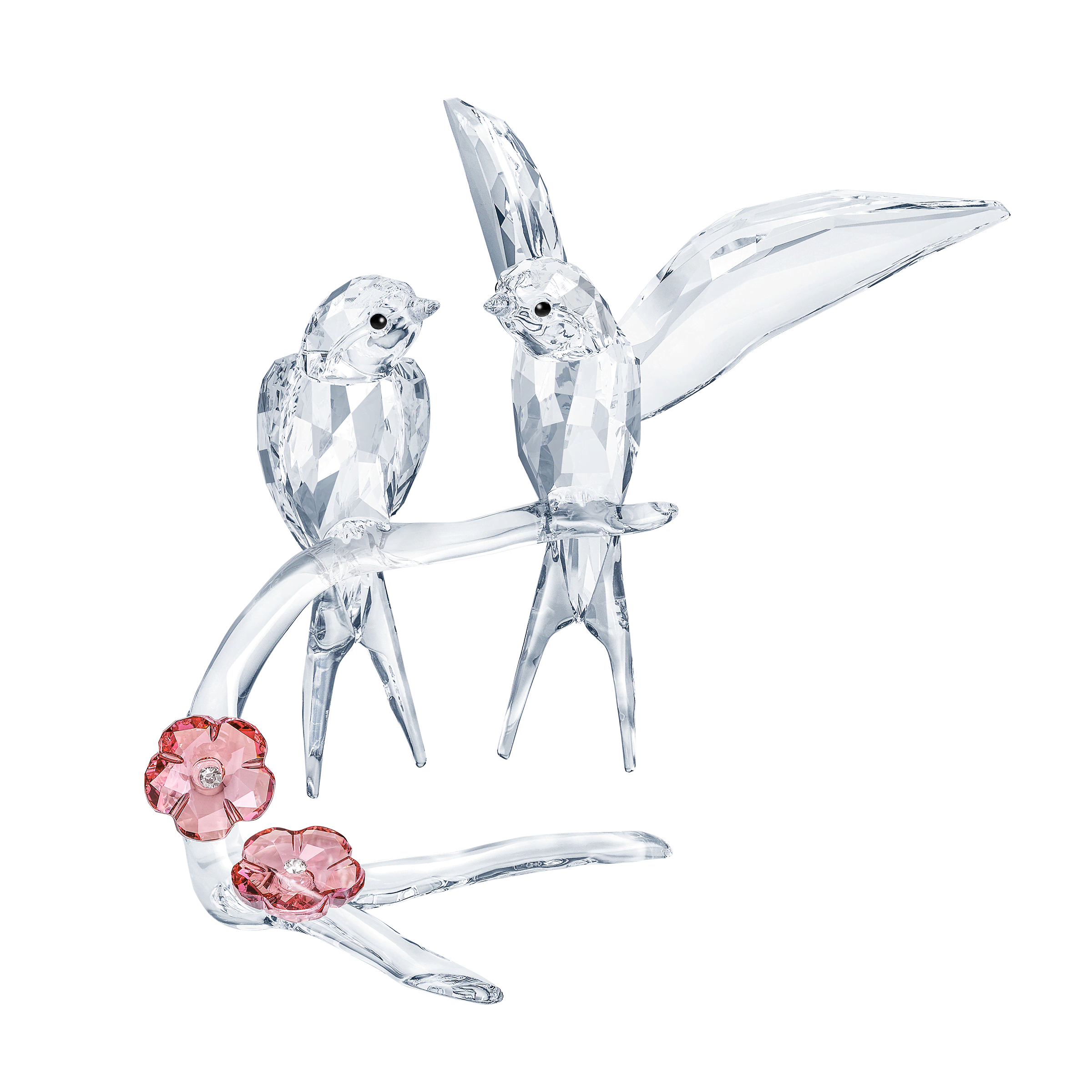 Swarovski Feathered Beauties