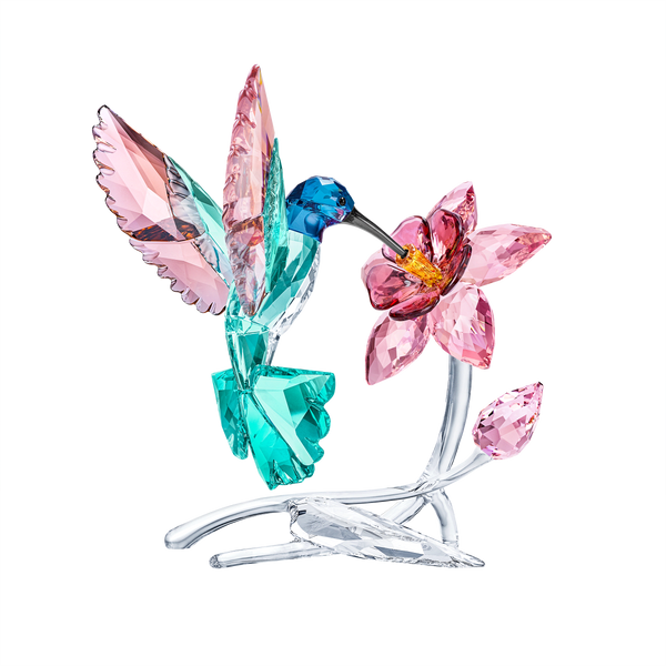 Hummingbird — article 5728071