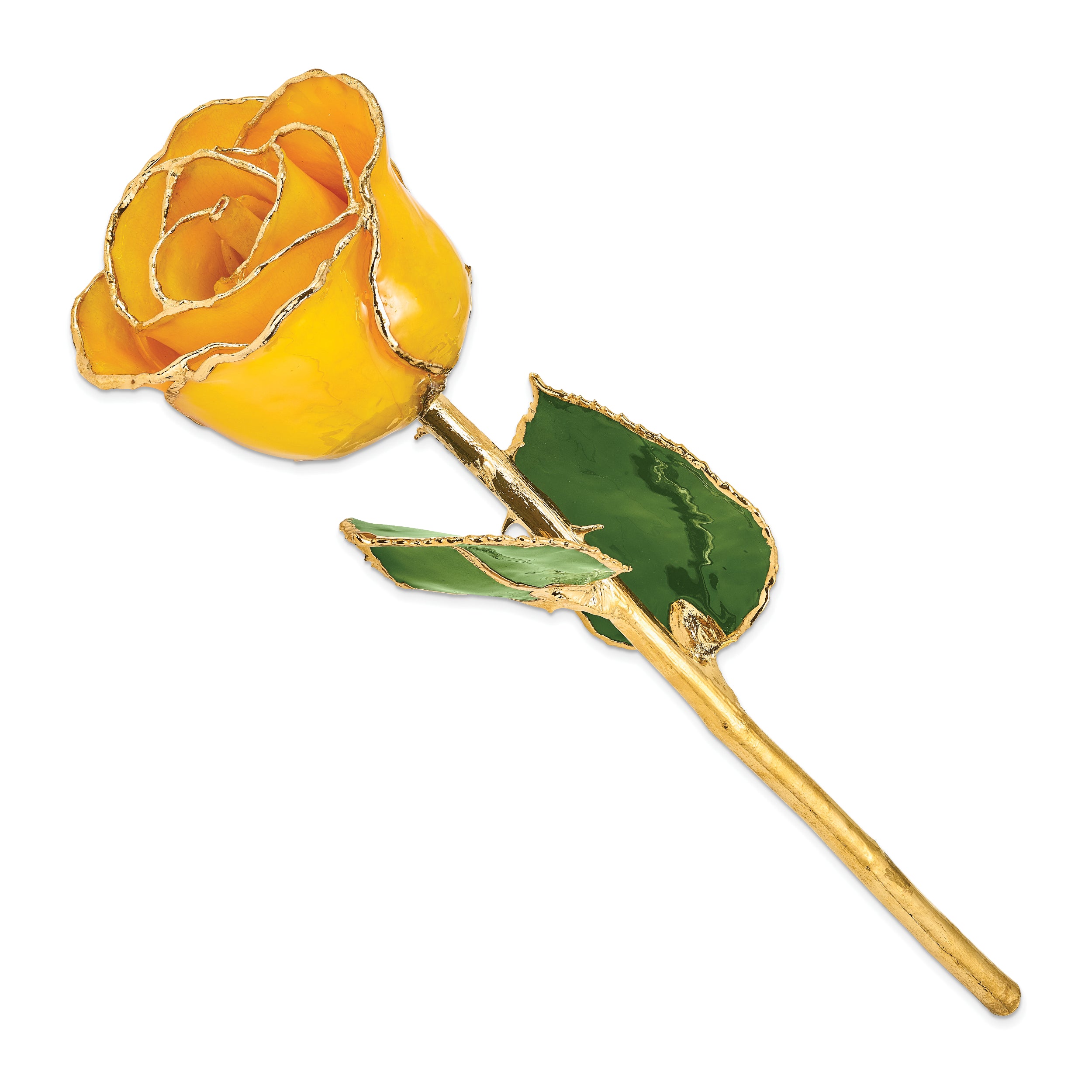 Lacquer Dipped Gold Trim Saffron Rose