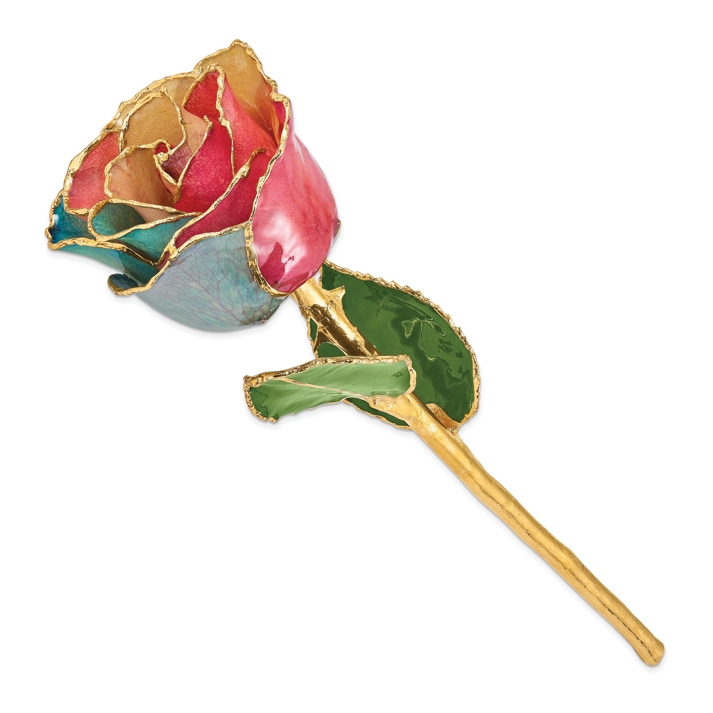 Lacquer Dipped Gold Trim Tri-color Rose