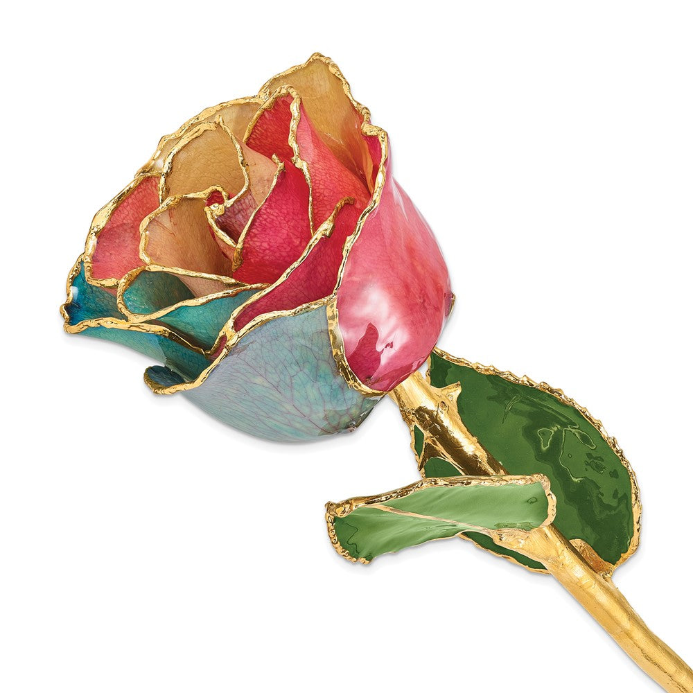 Lacquer Dipped Gold Trim Tri-color Rose