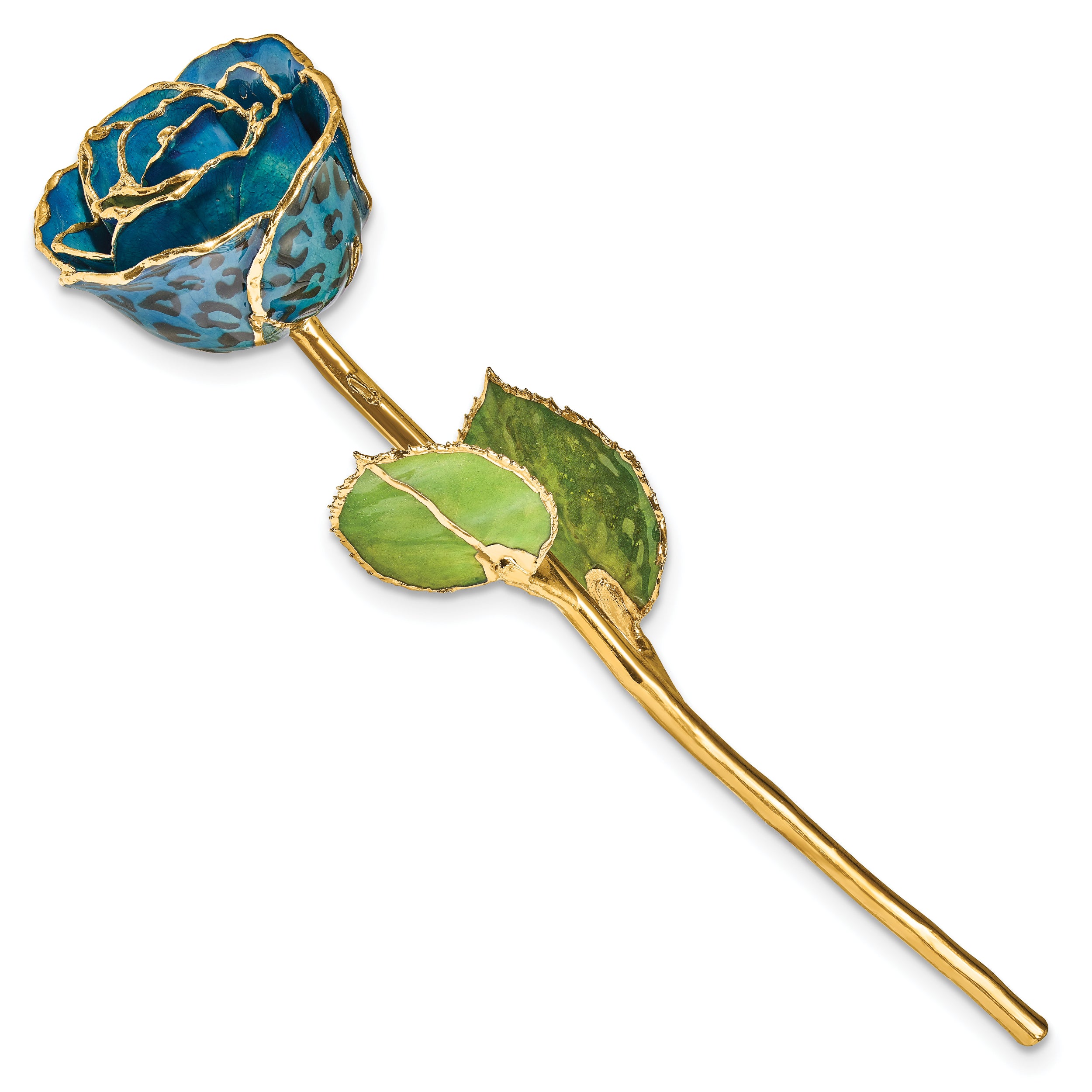 Lacquer Dipped Gold Trim Black and Blue Leopard Rose