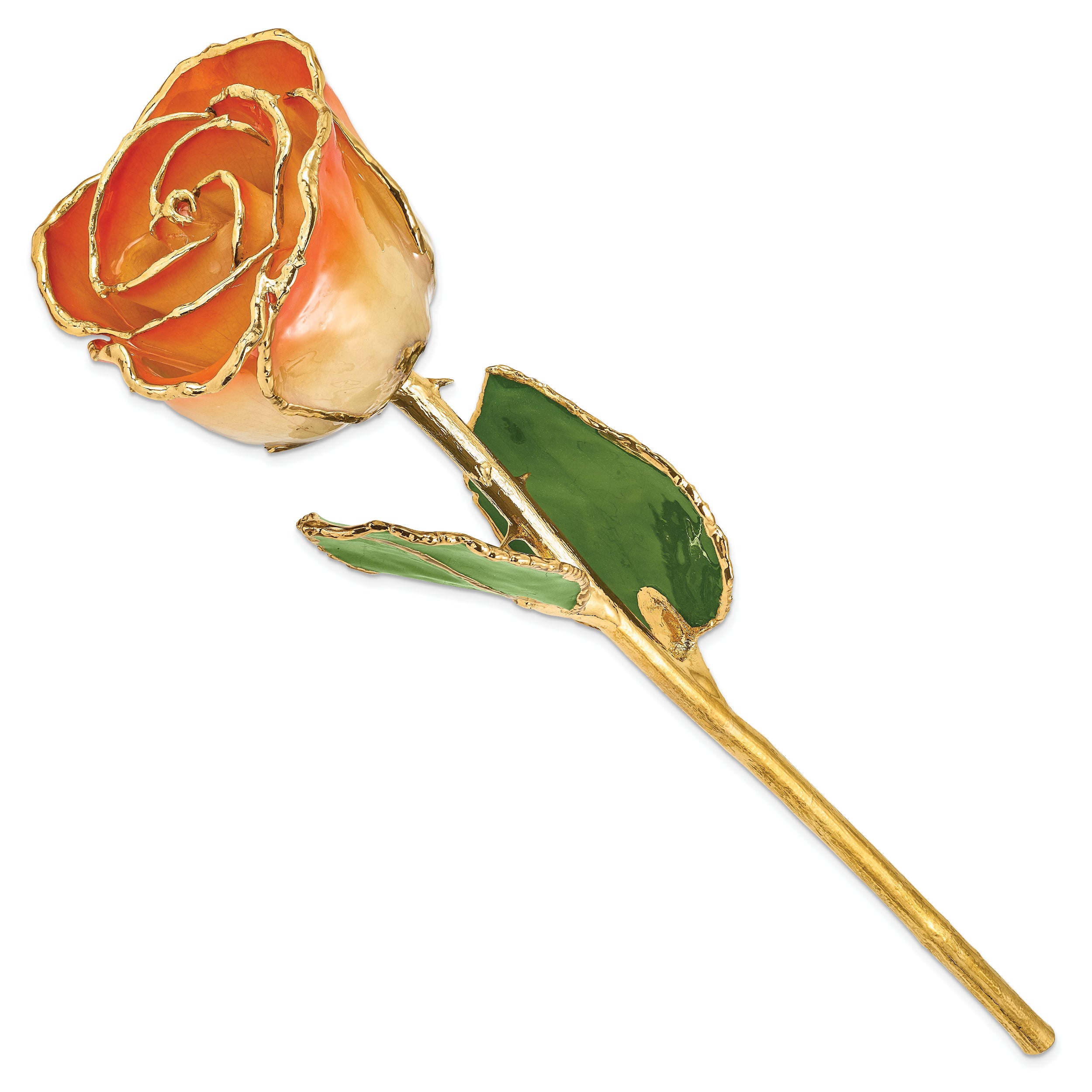 Lacquer Dipped Gold Trim White and Orange Rose