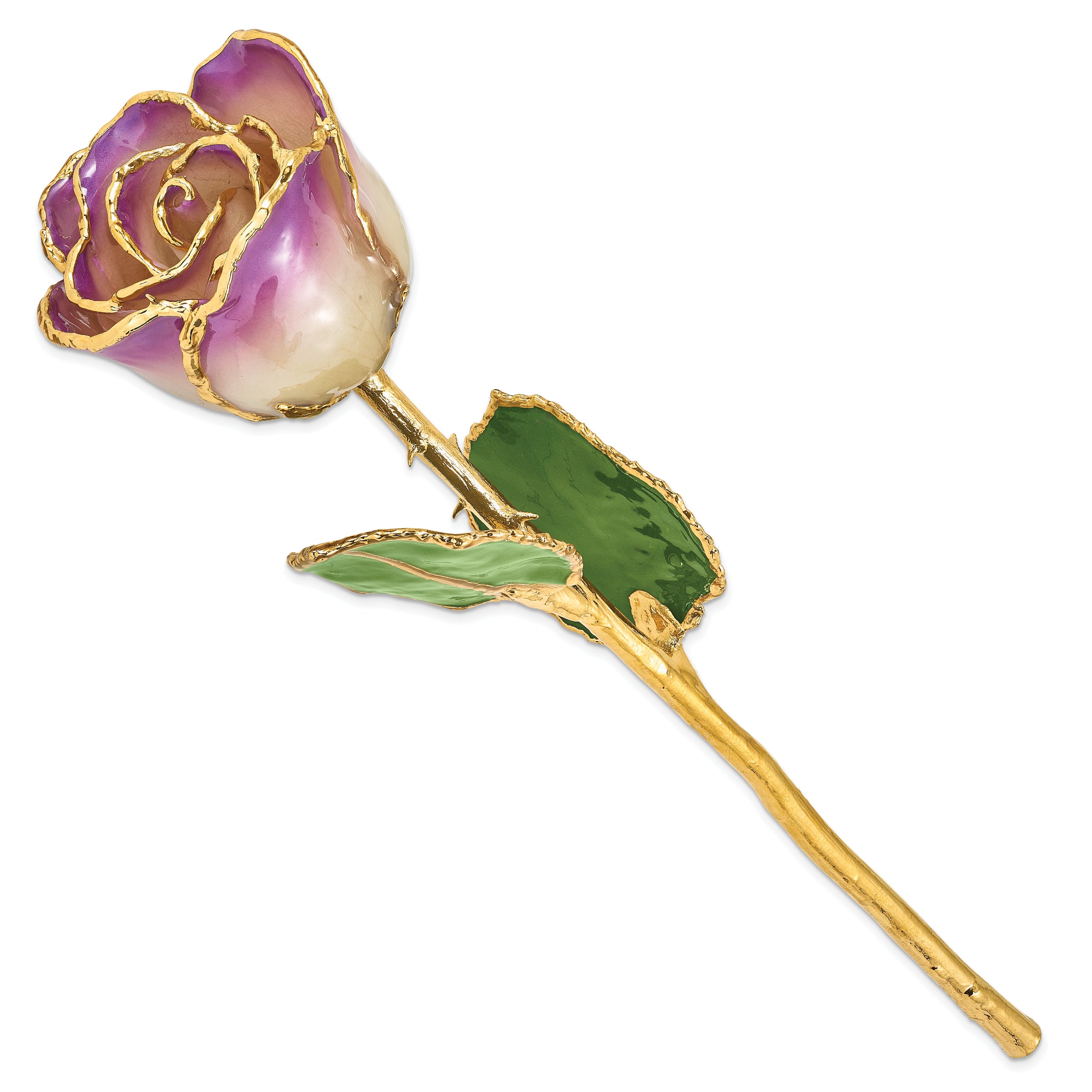 Lacquer Dipped Gold Trim Amethyst Rose