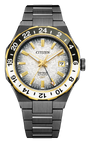 Citizen Series8 880 The Seasons Winter NB6035-55H — product view