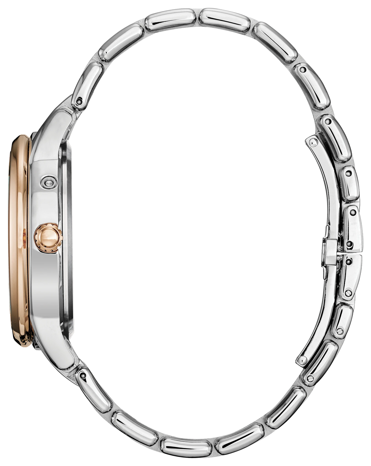 Citizen Calendrier FD0006-56D — detail view