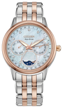 Citizen Calendrier FD0006-56D — product view