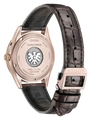 Citizen The CITIZEN AQ4106-00B — detail view