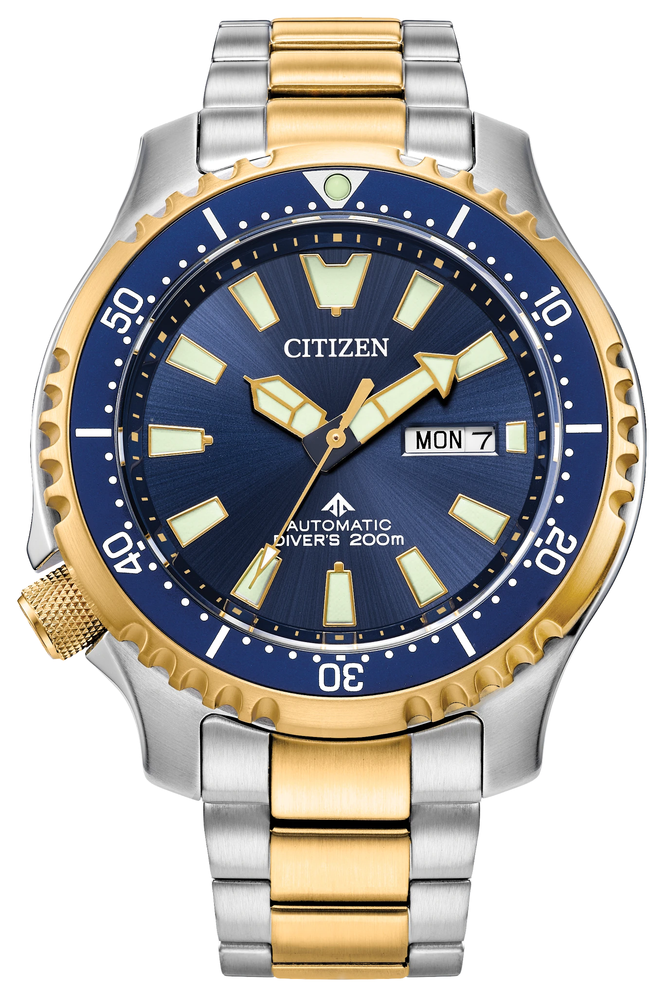 Citizen Promaster Dive Automatic NY0154-51L — product view
