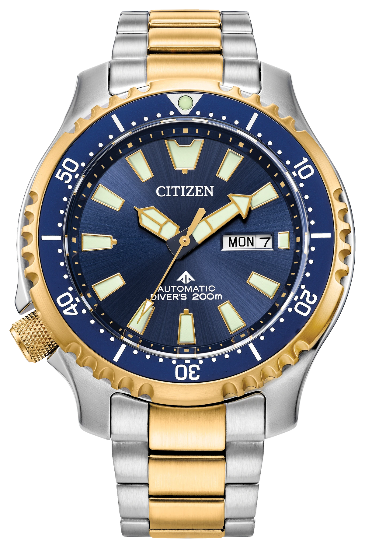 Citizen Promaster Dive Automatic NY0154-51L — product view