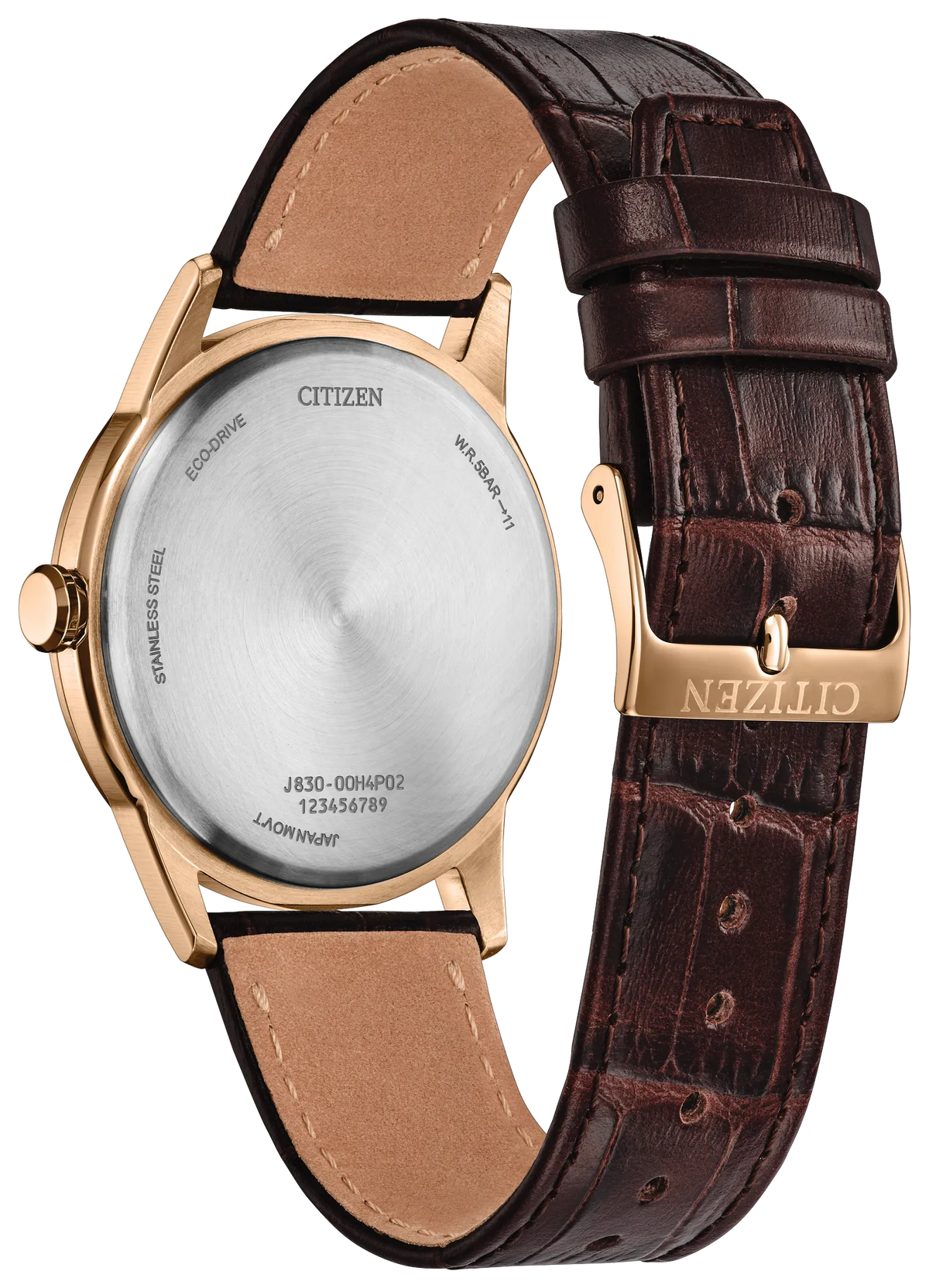 Citizen Rolan AW2113-16X — detail view