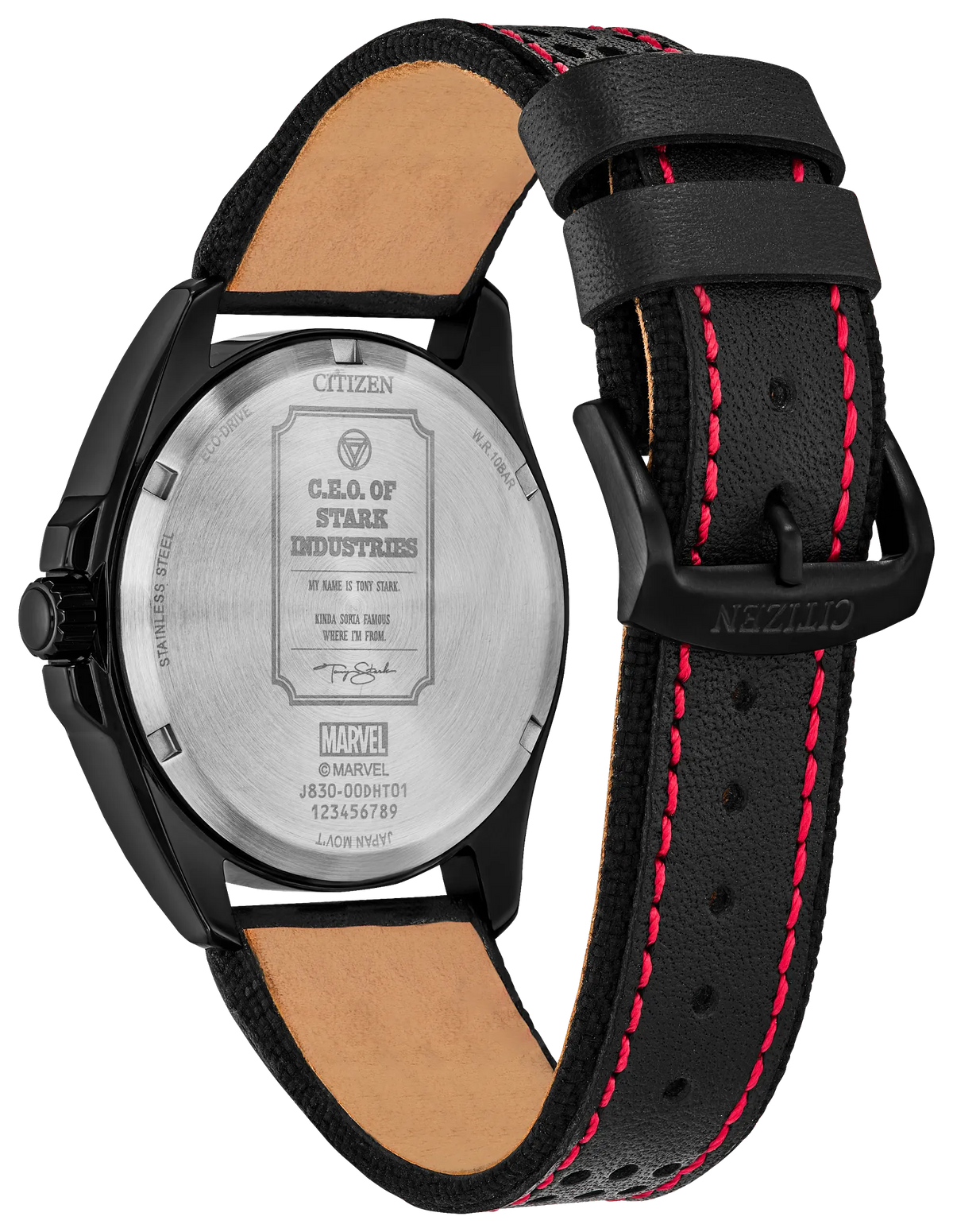 Citizen Stark, Kinda Sorta Famous AW2095-41W — detail view