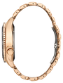 Citizen Carson AW1773-55E — detail view