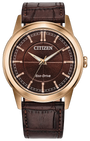 Citizen Rolan AW2113-16X — product view