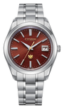 Citizen The CITIZEN AQ4100-65X — product view