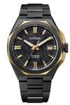 Black · Gray Stainless Steel