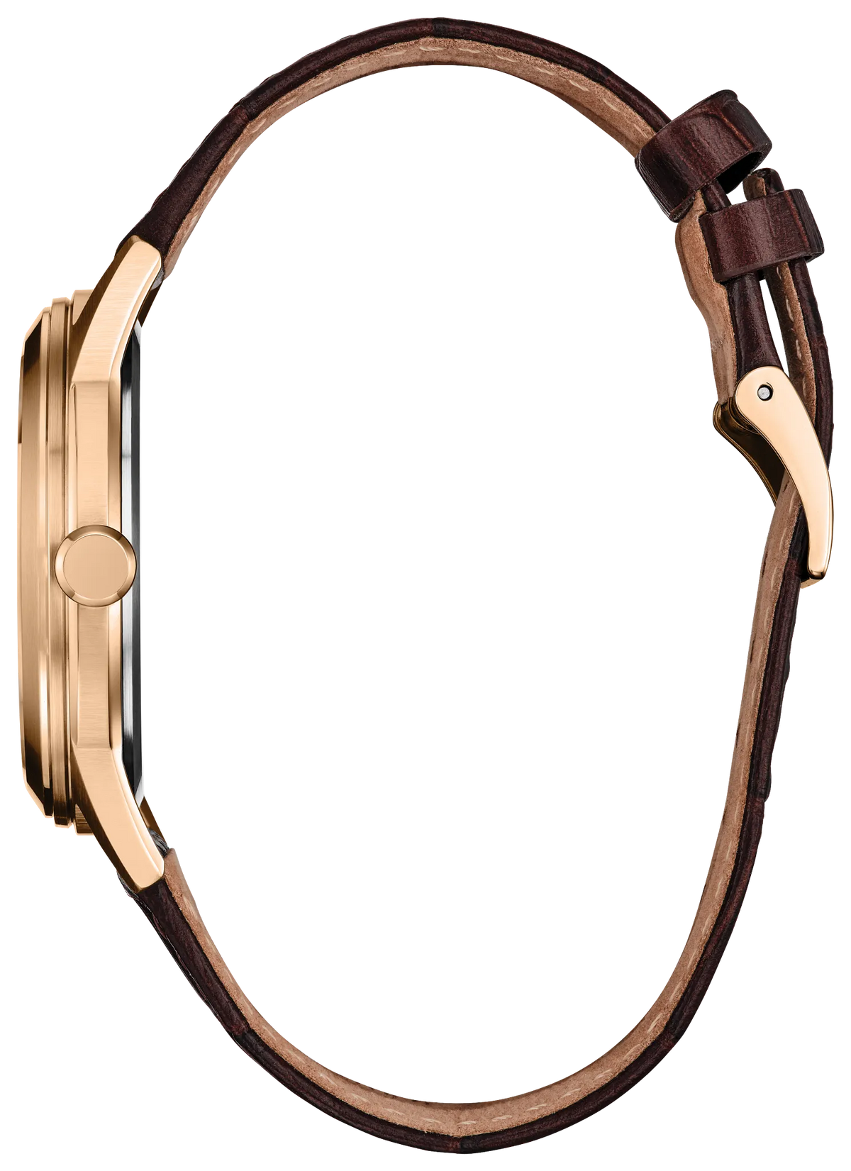 Citizen Rolan AW2113-16X — detail view