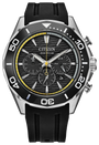 Citizen Endeavor Chrono CA4730-08E — product view